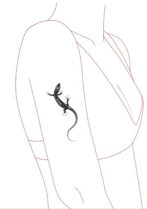 Image of Lizard