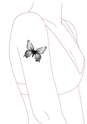 Image of Butterfly