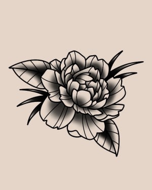 Image of Bold Peony 