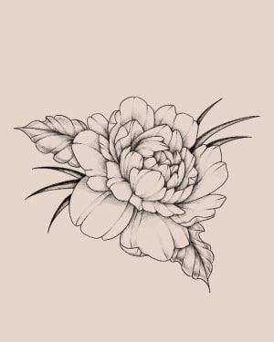 Image of Delicate Peony