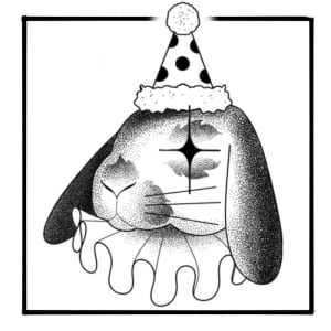 Image of Lop Eared Circus Bun