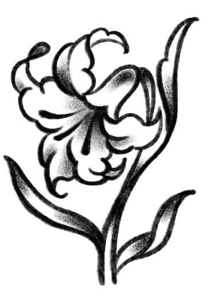 Image of Lilly