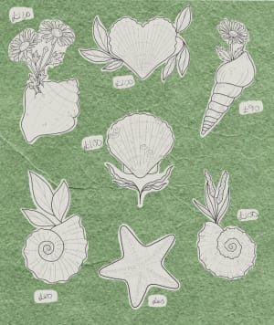 Image of Shells 