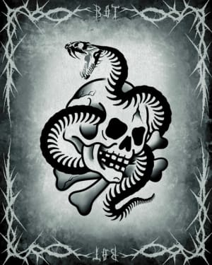 Image of Snake and Skull 