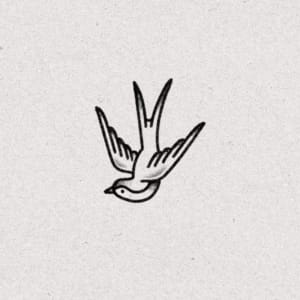 Image of Swallow