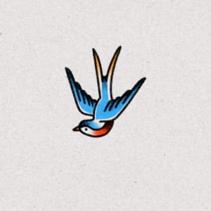 Image of Swallow