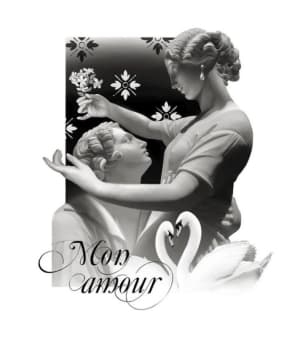 Image of Mon amour
