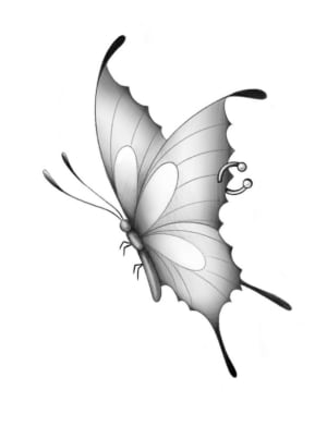 Image of Pierced butterfly 