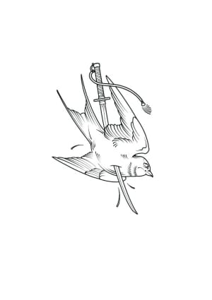 Image of Swallow katana