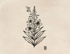 Image of Fireweed Wildflower