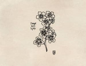 Image of Forget Me Nots