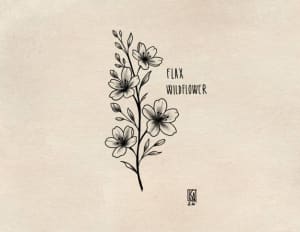 Image of Flax Wildflower