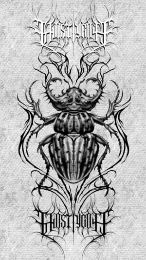 Image of Beetle 