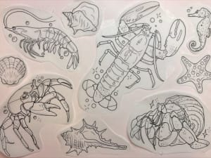 Image of Sea creatures 
