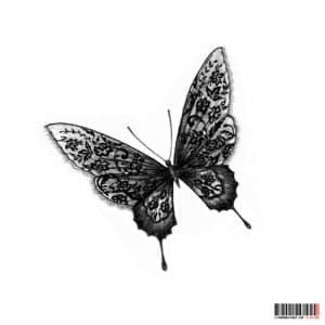 Image of Lace Butterfly