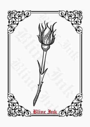 Image of Closed Rose
