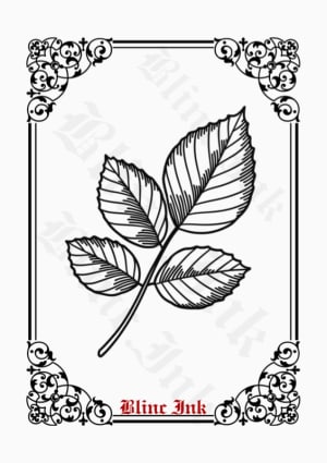 Image of Leaves