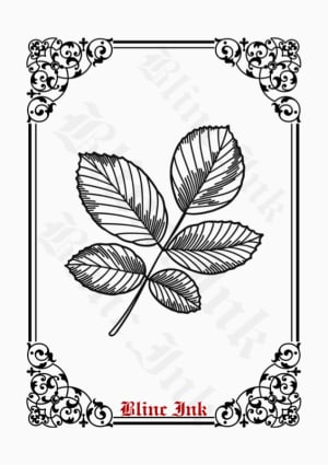 Image of Leaves