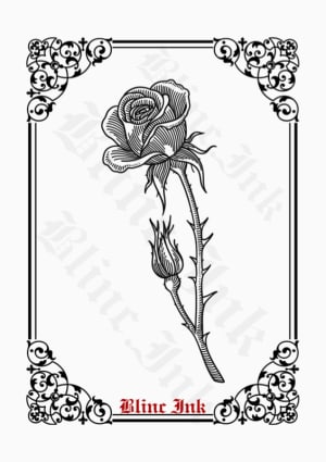Image of Rose