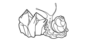Image of Snail 