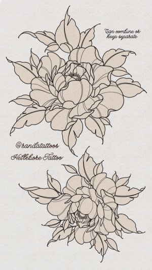 Image of Peonies 4