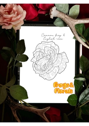 Image of Common frog & English rose