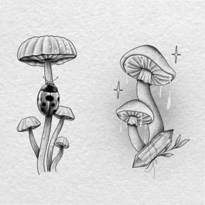 Image of BG mushrooms