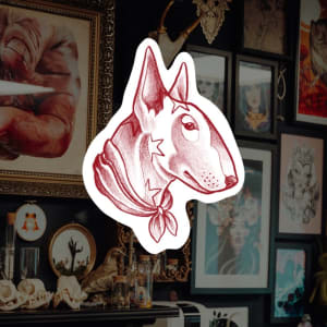 Image of Bull terrier 