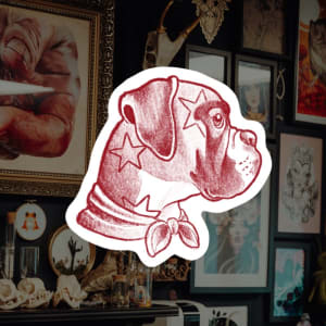 Image of Boxer