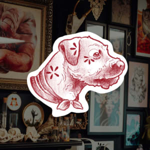 Image of Border terrier 