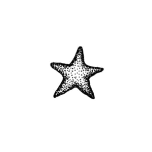 Image of Star I
