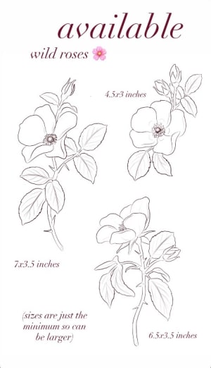 Image of wild roses 