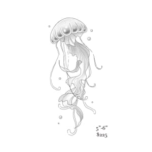 Image of jelly fish 5”-6”