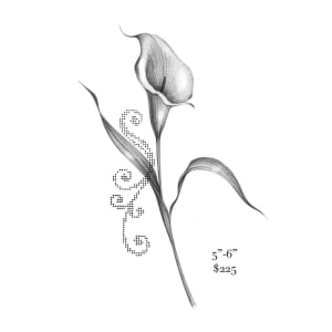Image of calla lily 5”-6”