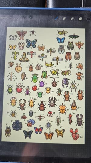 Image of Bugs 1-72