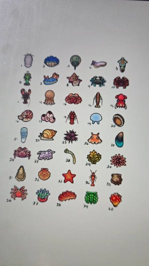 Image of Sea creatures 1-40
