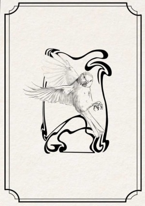 Image of Passero