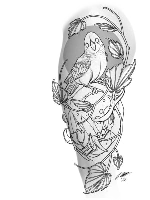 Image of Cat skull and birdy
