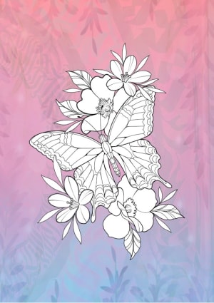 Image of Butterfly 