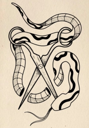Image of Snake + Scissors 