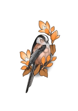 Image of LONG TAILED TIT