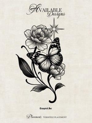 Image of Ornate butterfly 