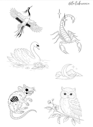 Image of Animal flash sheet 