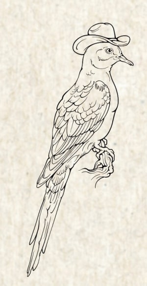 Image of Cowboy dove