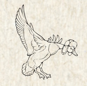Image of Winter hat duck
