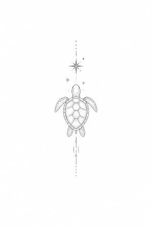 Image of Turtle