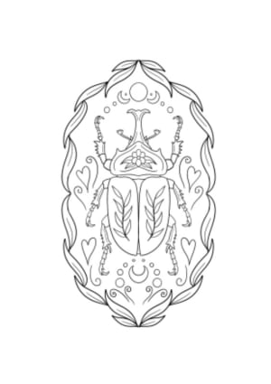 Image of Beetle frame