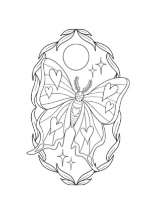 Image of Butterfly frame