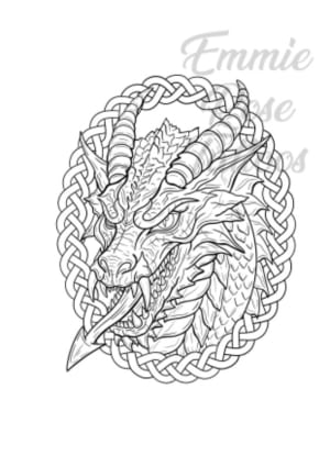 Image of Welsh Dragon frame