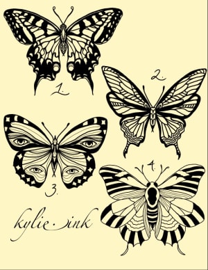 Image of butterfly flash 1